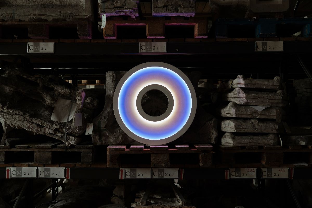 OCULUS MIRABILIS II by Philippe Cramer